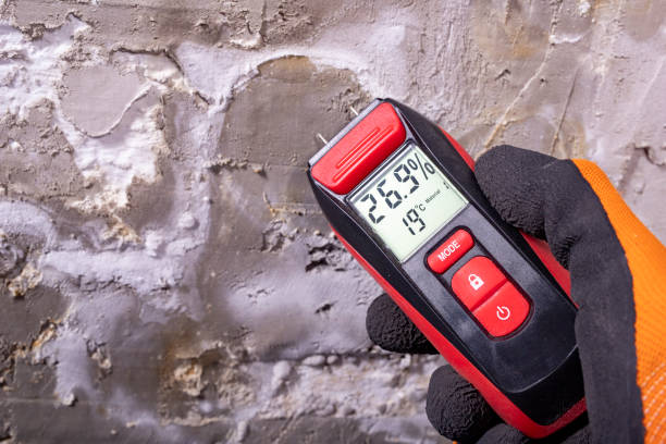 Best Kitchen Mold Remediation in Algoma, WI