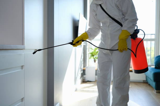 Best Emergency Mold Remediation in Algoma, WI