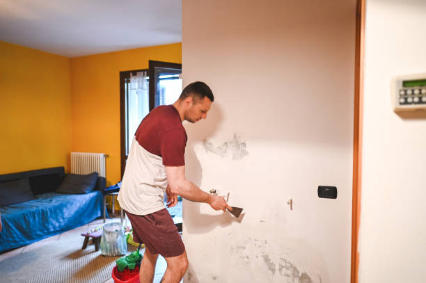 Best Insurance-Related Mold Remediation in Algoma, WI